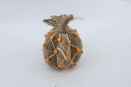 Pumpkin 2020083-A3