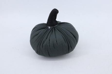 Pumpkin 2020011