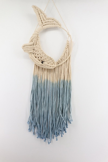 Dream Catcher 2010080