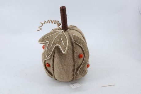 Pumpkin 2020112-A1