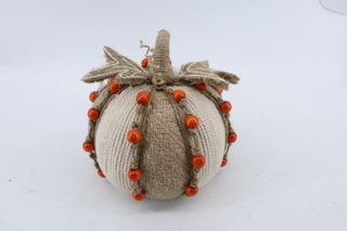 Pumpkin 2020074-G2